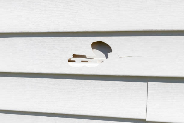 Siding for Commercial Buildings in Coupeville, WA